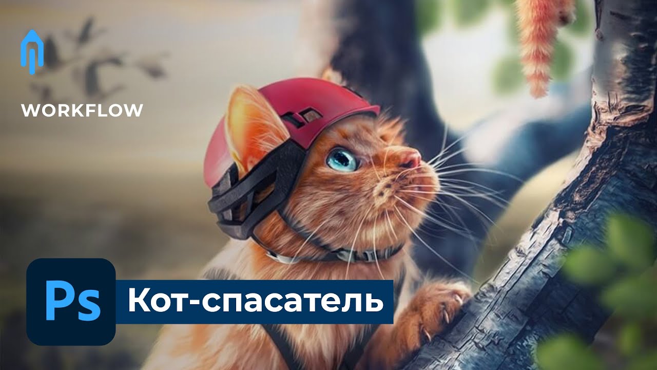 Кот-спасатель. Рабочий процесс