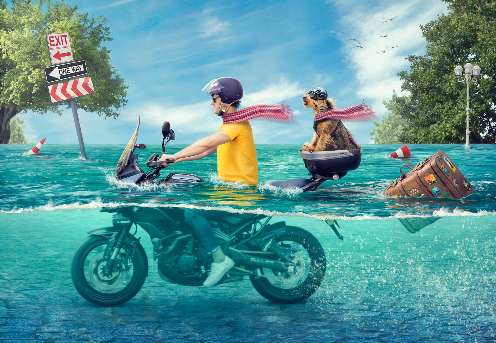 Фотоманипуляции 2021