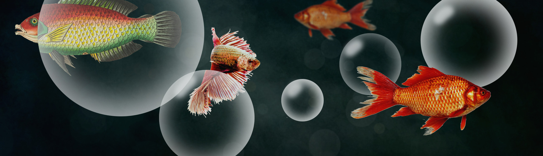 Нонна Смелова