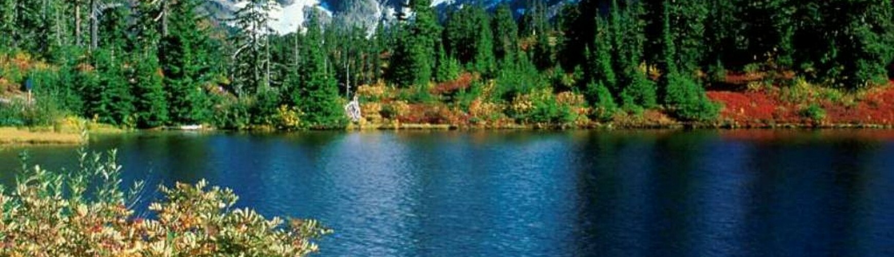 нина викторовна